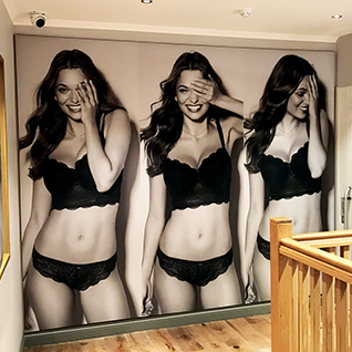 Display Graphics